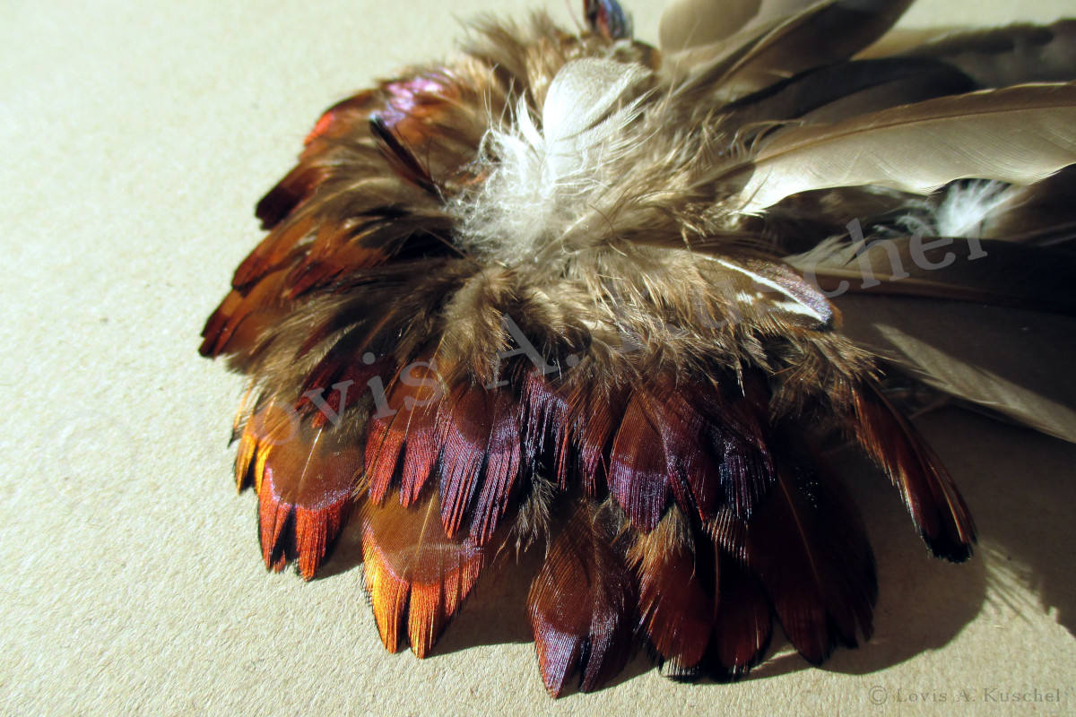 Federschmuck Herzstueck Detailansicht